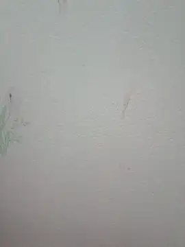 Luckyy29 online show from 06-13-26, 05:05