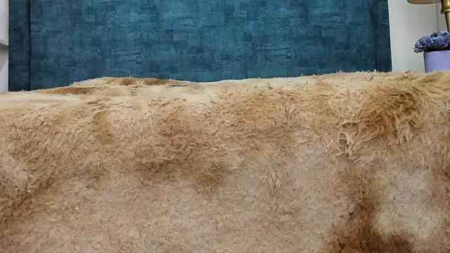 IsadoraVex online show from 04-14-26, 12:44