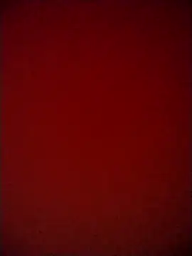 Snapshot of Shaniya03 chatting on 05-06-26, 03:17 Shaniya03 online show from 05-06-26, 03:17