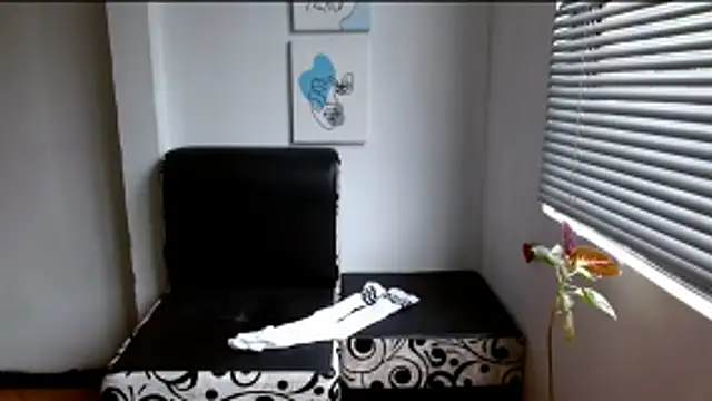 alisonnturbay online show from 05-25-26, 12:11