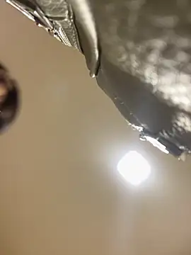 Selene  Ferrer online show from 04-16-26, 01:56