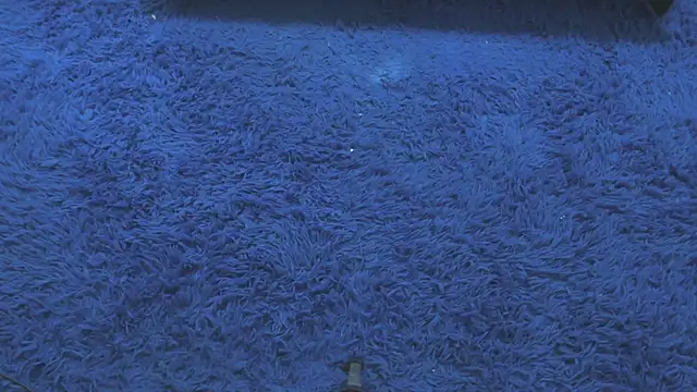 Snapshot of Mia-collins01 chatting on 04-15-26, 12:34 Mia-collins01 online show from 04-15-26, 12:34