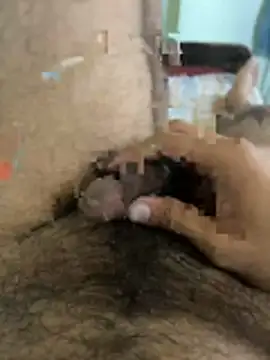 warm milk69 online show from 04-19-26, 04:01