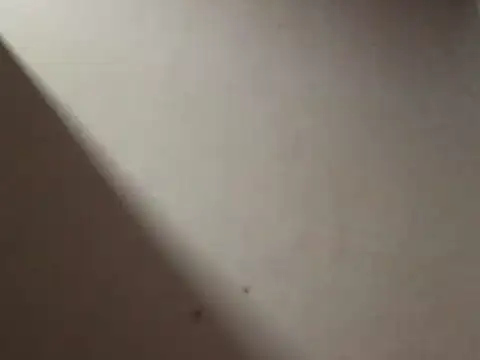 SL Uma online show from 04-19-26, 07:05