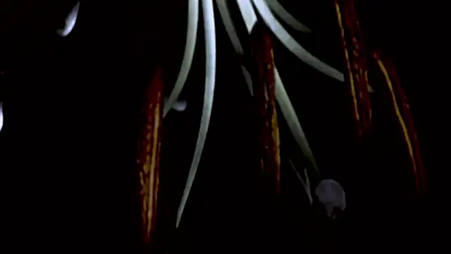 Vandaaethusa online show from 04-16-26, 04:52