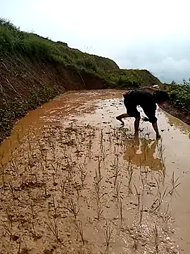 LucyBri01 online show from 04-18-26, 02:04