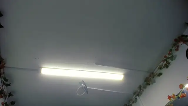 Snapshot of LilaVelvet chatting on 05-23-26, 06:56 LilaVelvet online show from 05-23-26, 06:56