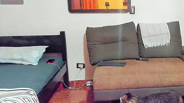 Teo Rave online show from 06-27-26, 04:06