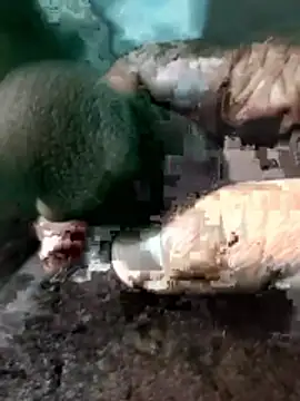 Peterhadly online show from 04-28-26, 04:12