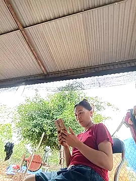 Jinli 01 online show from 06-30-26, 09:43