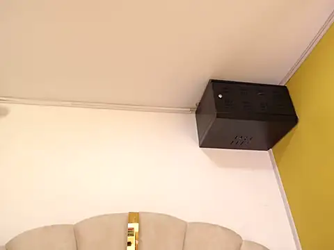 Gingerblis online show from 06-11-26, 09:57