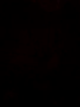 Snapshot of LonesomeMegawatt chatting on 05-29-26, 12:58 LonesomeMegawatt online show from 05-29-26, 12:58