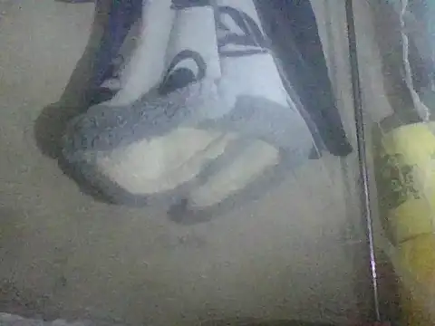 Snapshot of prettybelly chatting on 05-26-26, 03:35 prettybelly online show from 05-26-26, 03:35