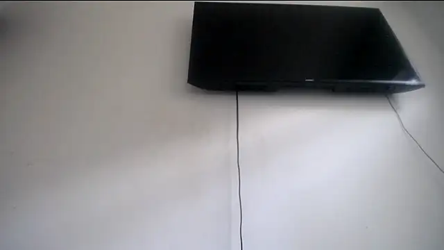 Fox Loves online show from 06-28-26, 09:54