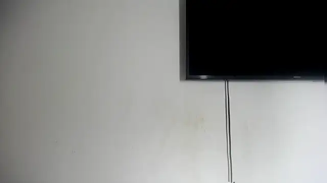 Fox Loves online show from 07-07-26, 11:31