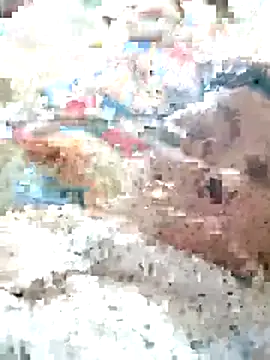 Snapshot of Orio-baby chatting on 05-31-26, 08:10 Orio-baby online show from 05-31-26, 08:10