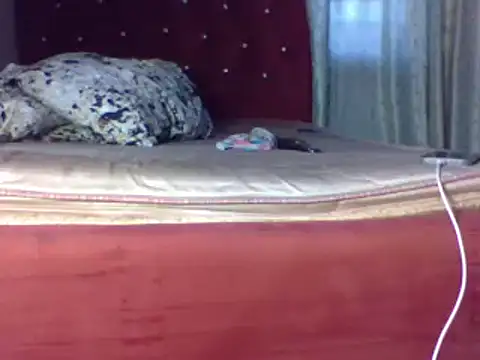 biggest black cock online show from 06-25-26, 02:21