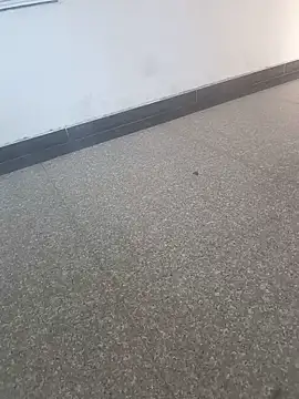 Snapshot of Suhana_sharma89 chatting on 06-02-26, 09:11 Suhana sharma89 online show from 06-02-26, 09:11