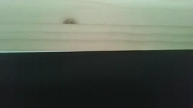 Snapshot of Hendrikje chatting on 06-02-26, 04:42 Hendrikje online show from 06-02-26, 04:42