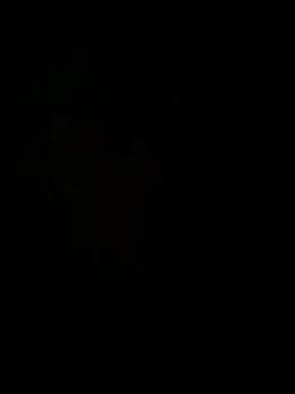 Snapshot of hook9sex chatting on 06-11-26, 04:54 hook9sex online show from 06-11-26, 04:54
