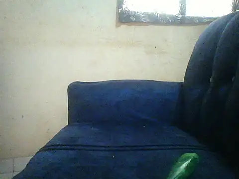 Snapshot of HomeBully chatting on 07-08-26, 12:09 HomeBully online show from 07-08-26, 12:09