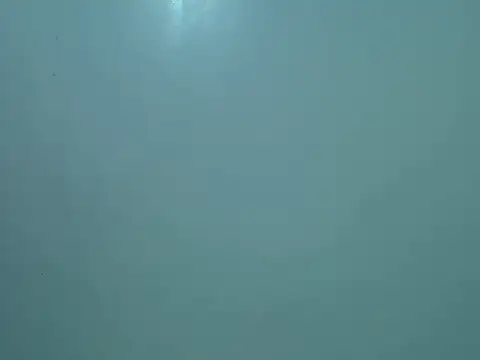 Snapshot of slimgirl2544 chatting on 07-09-26, 11:36 slimgirl2544 online show from 07-09-26, 11:36
