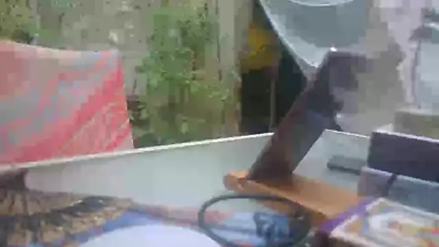 mad2moi online show from 07-15-26, 02:22