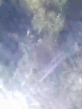 Snapshot of Philebranleur chatting on 07-06-26, 09:17 Philebranleur online show from 07-06-26, 09:17