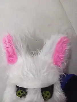 Happy rabbith online show from 07-15-26, 03:39