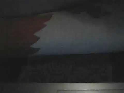 Snapshot of butterflywngs chatting on 07-10-26, 06:54 butterflywngs online show from 07-10-26, 06:54