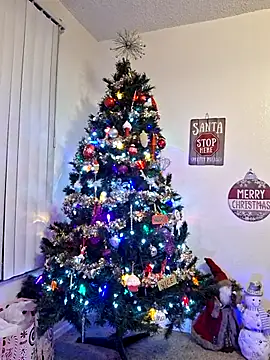 XxMs StarzxX online show from 12-21-25, 11:45