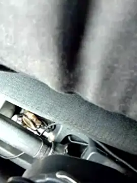 LifeLineSL online show from 03-04-26, 06:30