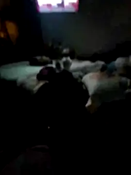 Snapshot of juliopantoja chatting on 02-15-26, 05:04 juliopantoja online show from 02-15-26, 05:04