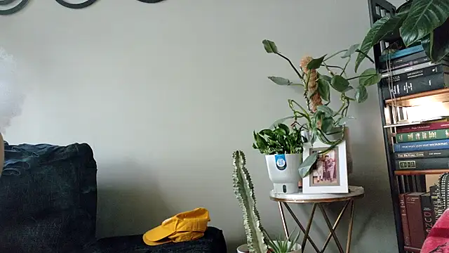 bestofdoseswirls online show from 04-08-26, 06:30