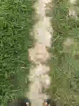 ThethunderPo online show from 04-01-26, 02:45