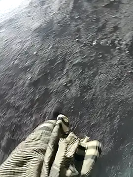 Snapshot of Bengali_BULL1 chatting on 11-17-25, 01:50 Bengali BULL1 online show from 11-17-25, 01:50