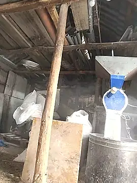 sarpe4 online show from 01-08-26, 07:54