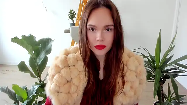 Pokemeboy online show from 12-11-24, 09:41