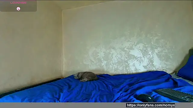 angeliquevany online show from 12-02-25, 06:58