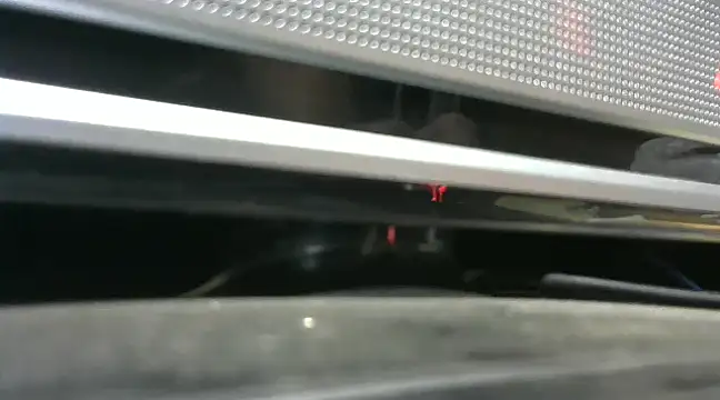 gauchors20 online show from 12-26-24, 01:51