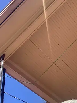 Snapshot of Tristris100 chatting on 02-24-25, 08:03 Tristris100 online show from 02-24-25, 08:03