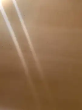 Snapshot of Tristris100 chatting on 03-09-25, 10:08 Tristris100 online show from 03-09-25, 10:08