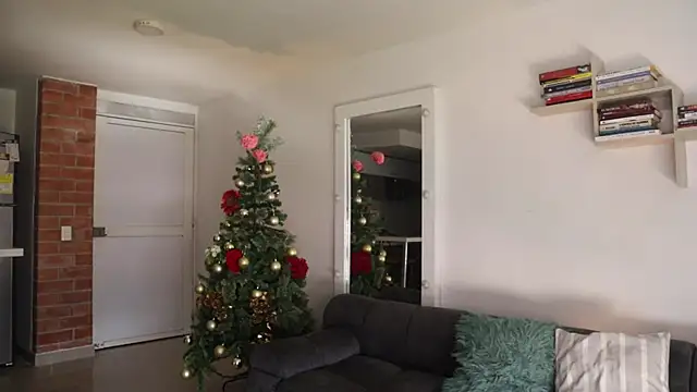 Snapshot of _Vahos_ chatting on 12-03-25, 05:11 Vahos online show from 12-03-25, 05:11