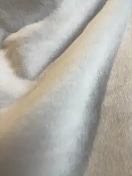 Aestheticsgirl online show from 03-03-26, 07:47