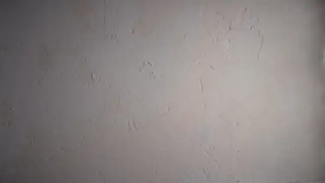 Snapshot of pinkgirls18 chatting on 02-10-26, 10:08 pinkgirls18 online show from 02-10-26, 10:08