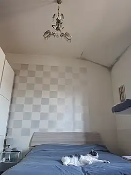 simona60 online show from 03-29-26, 06:57