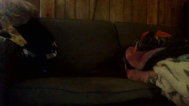 Ryoko Momoko online show from 11-01-25, 02:46