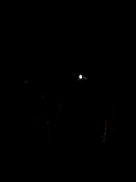 InMeinenMund online show from 02-25-26, 06:28