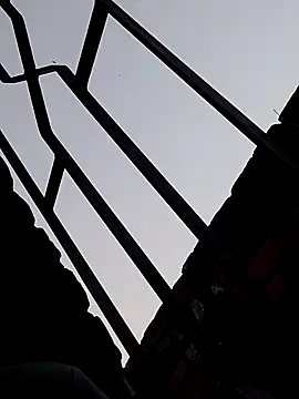 Shahidraza123465  online show from 11-18-25, 11:14