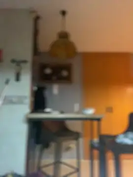 camelia3 online show from 02-25-26, 12:42